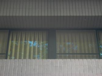 L1000569