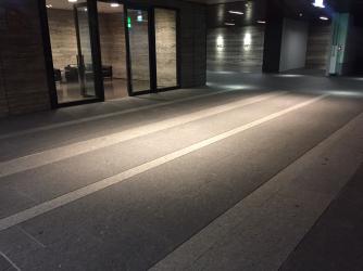 桃園豪宅